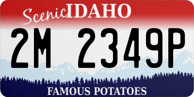 ID license plate 2M2349P