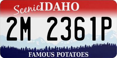 ID license plate 2M2361P