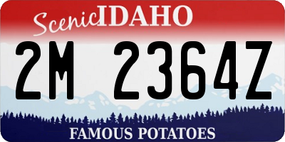 ID license plate 2M2364Z