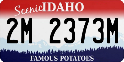 ID license plate 2M2373M