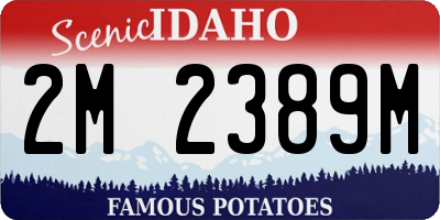 ID license plate 2M2389M
