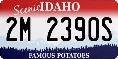 ID license plate 2M2390S