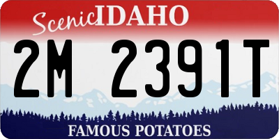 ID license plate 2M2391T