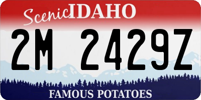 ID license plate 2M2429Z
