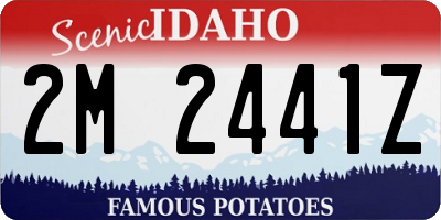 ID license plate 2M2441Z