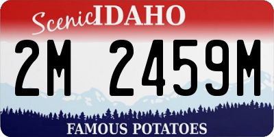 ID license plate 2M2459M