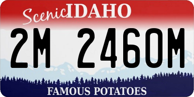 ID license plate 2M2460M