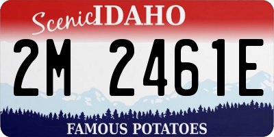 ID license plate 2M2461E