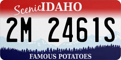 ID license plate 2M2461S