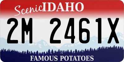 ID license plate 2M2461X