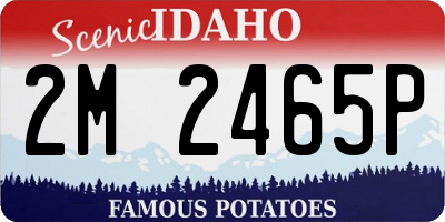 ID license plate 2M2465P