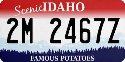 ID license plate 2M2467Z