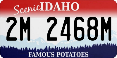 ID license plate 2M2468M