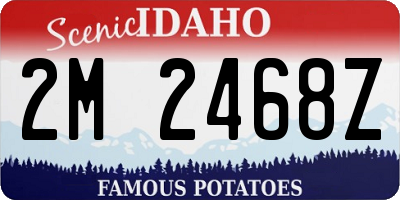 ID license plate 2M2468Z