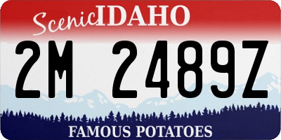 ID license plate 2M2489Z