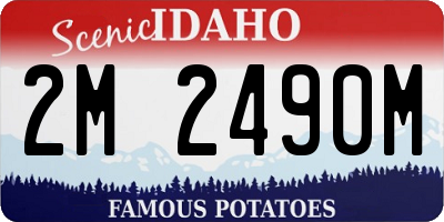 ID license plate 2M2490M