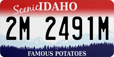 ID license plate 2M2491M