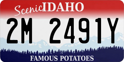 ID license plate 2M2491Y