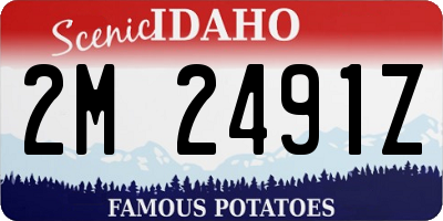 ID license plate 2M2491Z