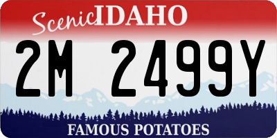 ID license plate 2M2499Y