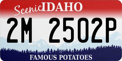 ID license plate 2M2502P