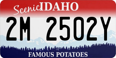 ID license plate 2M2502Y