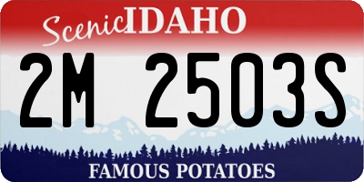 ID license plate 2M2503S