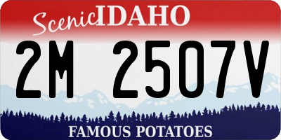 ID license plate 2M2507V