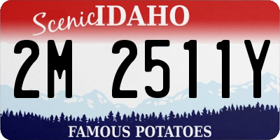 ID license plate 2M2511Y