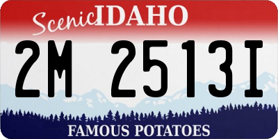 ID license plate 2M2513I