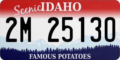 ID license plate 2M2513O