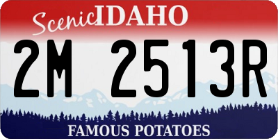 ID license plate 2M2513R