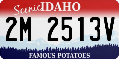 ID license plate 2M2513V