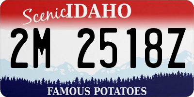 ID license plate 2M2518Z