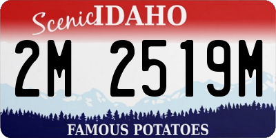 ID license plate 2M2519M