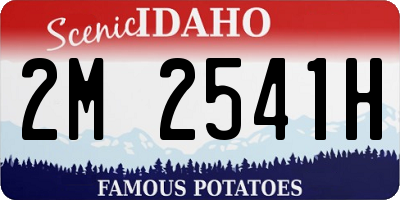 ID license plate 2M2541H