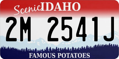 ID license plate 2M2541J