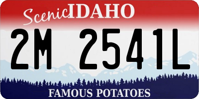 ID license plate 2M2541L