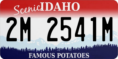 ID license plate 2M2541M