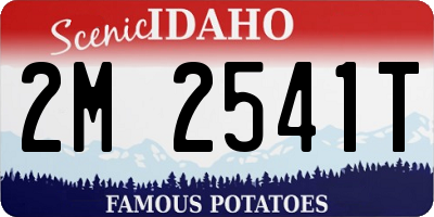 ID license plate 2M2541T