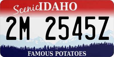 ID license plate 2M2545Z