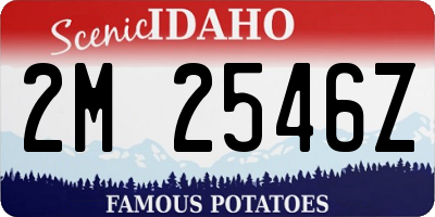 ID license plate 2M2546Z