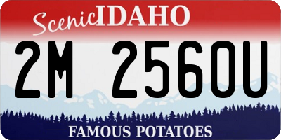 ID license plate 2M2560U