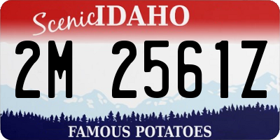ID license plate 2M2561Z