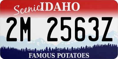 ID license plate 2M2563Z