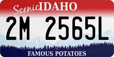 ID license plate 2M2565L
