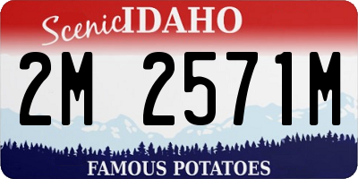 ID license plate 2M2571M