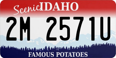 ID license plate 2M2571U