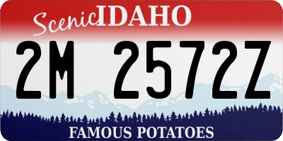 ID license plate 2M2572Z