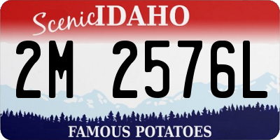 ID license plate 2M2576L